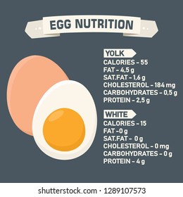 Vector icon chicken egg nutrition poster. Illustration of eggs in flat minimalism style.