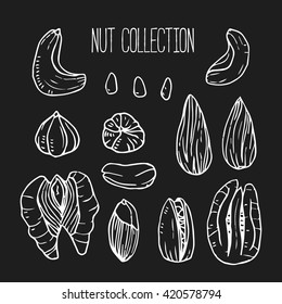 Vector icon collection with different nuts. White on dark grey background. Element for your food design. Cashew, walnuts, pecans, peanuts, hazelnuts, almonds, pistachios, pine nuts.