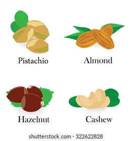 Vector icon collection set raw nuts. Nut mix with  hazelnut, pistachio, cashew and almond