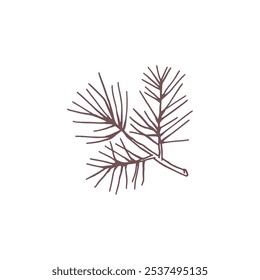 Vector icon of a coniferous tree twig with needles. The black outline emphasizes its conviviality on a white background. Perfect for a minimalistic design.