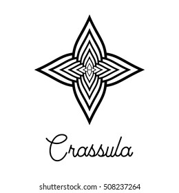 Vector icon with Crassula.
Hand drawn succulent for logo, sign, corporate identity.