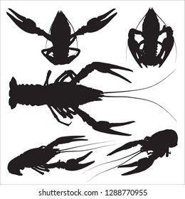 Vector icon crayfish. Set of crawfish silhouettes on white background.