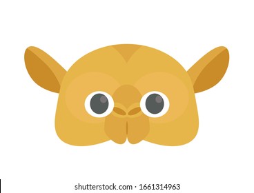 Vector icon of cute camel. Animal mask for children. 
