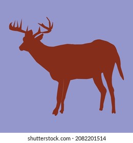 Vector Icon Deer. Illustration Deer Animal Silhouette With Horn, 
Deer Baby Standing Silhouette.