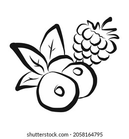 vector icon. delicious berries, raspberry, strawberry