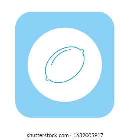 vector icon, delicious lemon fruit