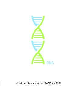 Vector icon DNA structure