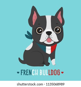 Vector icon of the dog breed French Bulldog. Puppy Bulldog black and in the scarf flowers of the French flag.