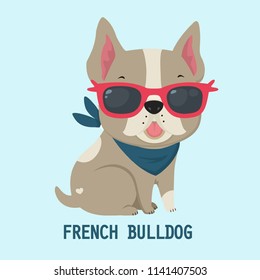 Vector icon dog breed French Bulldog. Puppy Bulldog in pink glasses. French Bulldog beige color