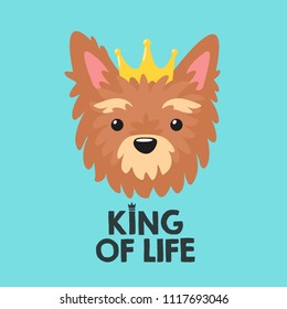 Vector icon dog breed Yorkshire Terrier. Yorkie Puppy dog ​​in the golden crown. Text: The King of Life.