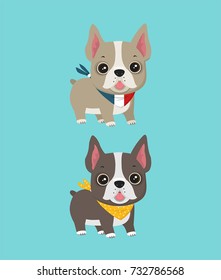 Vector icon Dogs of breed French Bulldog.Image cartoon  Puppies cream and chocolate color. Illustration pet animals dogs frenchie in flat style
