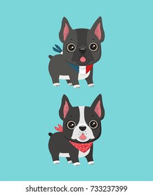vector icon Dogs of breed French Bulldog. Stock illustration Puppies of black and gray color.