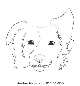 vector icon of a dog's head drawn by contours