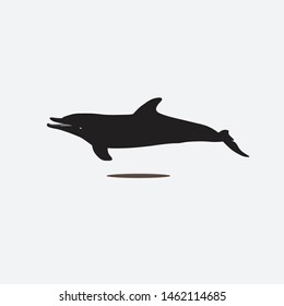 vector icon of dolphin silhouette