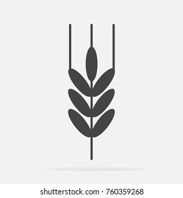 Vector icon ears of wheat, cereal. Ear of oats. 