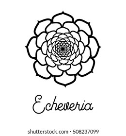 Vector Icon With Echeveria.
Hand Drawn Succulent For Logo, Sign, Corporate Identity.