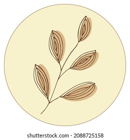 Vector icon and emblem for social media story highlight covers. Design templates for bloggers, photographers and designers. Abstract minimal circle backgrounds with nature leaves.