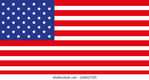 Vector icon flag USA