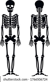 vector icon, flat skeleton, death