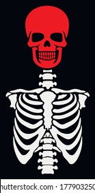 vector icon, flat skeleton, stencil