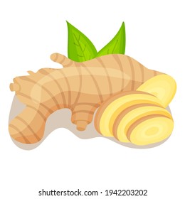 Vector icon in flat style. Ginger. Fragrant seasoning. Fresh root vegetables, sprinkling seasoning, flower. Natural and healthy food. For strengthening immunity. For your design.