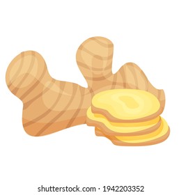 Vector icon in flat style. Ginger. Fragrant seasoning. Fresh root vegetables, sprinkling seasoning, flower. Natural and healthy food. For strengthening immunity. For your design.