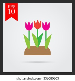 Vector icon of flower bed with tulips