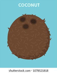 vector Icon fruit Coconut. Stock illustration tropical fruit coconut