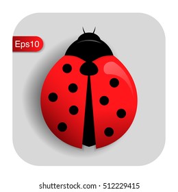Vector icon graphic Eps10 insect ladybug icon with shadow on gradient background