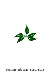 Vector icon of green leaves