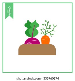 Vector icon of growing kohlrabi and carrot in soil