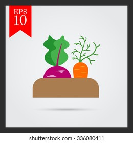 Vector icon of growing kohlrabi and carrot in soil