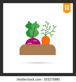 Vector icon of growing kohlrabi and carrot in soil