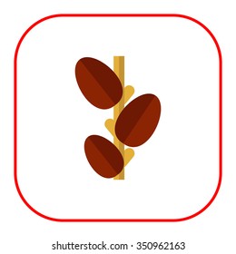 Vector icon of growing raw coffee beans