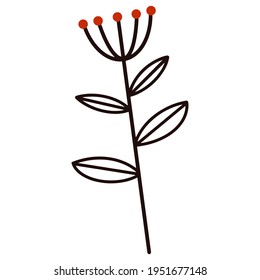 Vektorsymbol handgezeichnete Wildpflanze. Schwarzer Umriss mit roten Beeren. Regenschirmpflanze, botanisches Element einzeln auf weißem Hintergrund