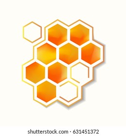 Vector icon with honeycomb isolated on white 