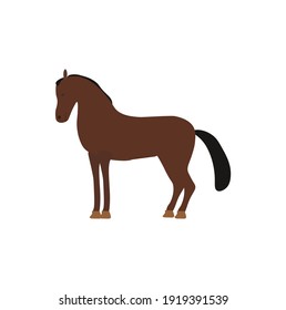 vector icon, horse on white background
