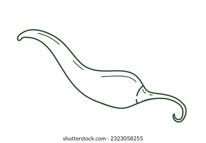 Vector icon of hot peppers drawn by hand. 
