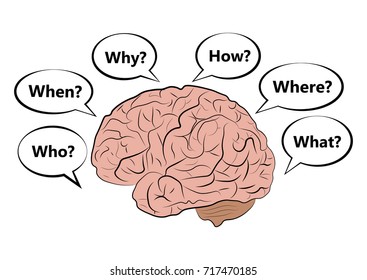 Vector icon of the human brain with questions.