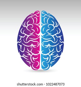 A vector icon of human brain showing the left and right hemispheres.