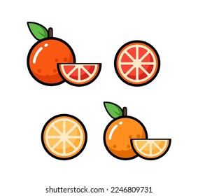 Vector icon illustration. Colorful orange and grapefruit. Isolated on white background.