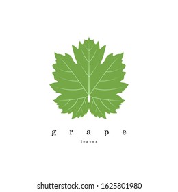 Vector icon illustration of green grape leaves, designed with crisp lines and natural details, representing freshness, organic growth, and vineyard aesthetics in a clean, modern style