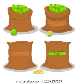 Vector icon illustration logo for bags filled with fruit green pomelo, storage in sacks. Pomelo pattern consisting of ripe food, raw product on open Sack. Tasty pomelo from eco sack, full baggy bag.