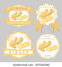 Vector icon illustration logo for whole spice herb seasoning yellow root ginger. Ginger pattern consisting of natural organic food label, cut peel, slice round ripe Root. Eat fresh raw roots gingers.