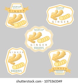 Vector icon illustration logo for whole spice herb seasoning yellow root ginger. Ginger pattern consisting of natural organic food label, cut peel, slice round ripe Root. Eat fresh raw roots gingers.