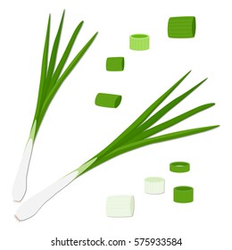 Vector icon illustration logo for whole ripe vegetable bitter onion with green stem, cut sliced meal, white background. Onion pattern consisting of vegetables bittersweet taste food. Eat fresh onions.