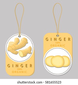Vector icon illustration logo for whole spice herb seasoning yellow root ginger. Ginger pattern consisting of natural organic food label, cut peel, slice round ripe Root. Eat fresh raw roots gingers.