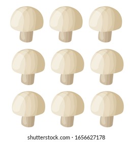 Vector icon illustration of mushroom champignon. Fresh cartoon organic mushroom isolated on white background used for magazine, book, poster, card, menu cover, web pages. EPS 10