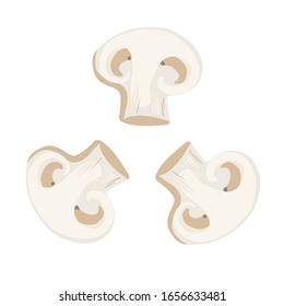 Vector icon illustration of mushroom champignon. Fresh cartoon organic mushroom isolated on white background used for magazine, book, poster, card, menu cover, web pages. EPS 10