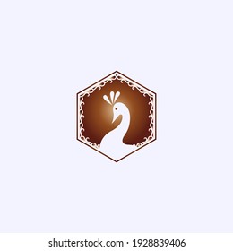 vector icon illustration of a peacock and polygon frame, logo symbol. Peacock head template logo